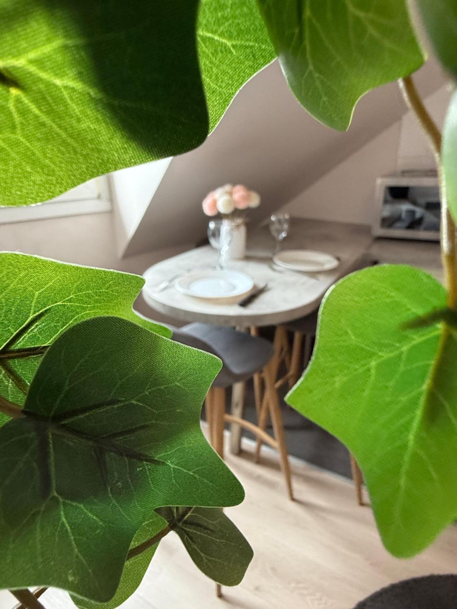 Centre Apartment Strasbourg